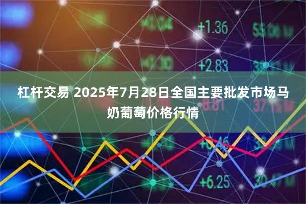 杠杆交易 2025年7月28日全国主要批发市场马奶葡萄价格行情